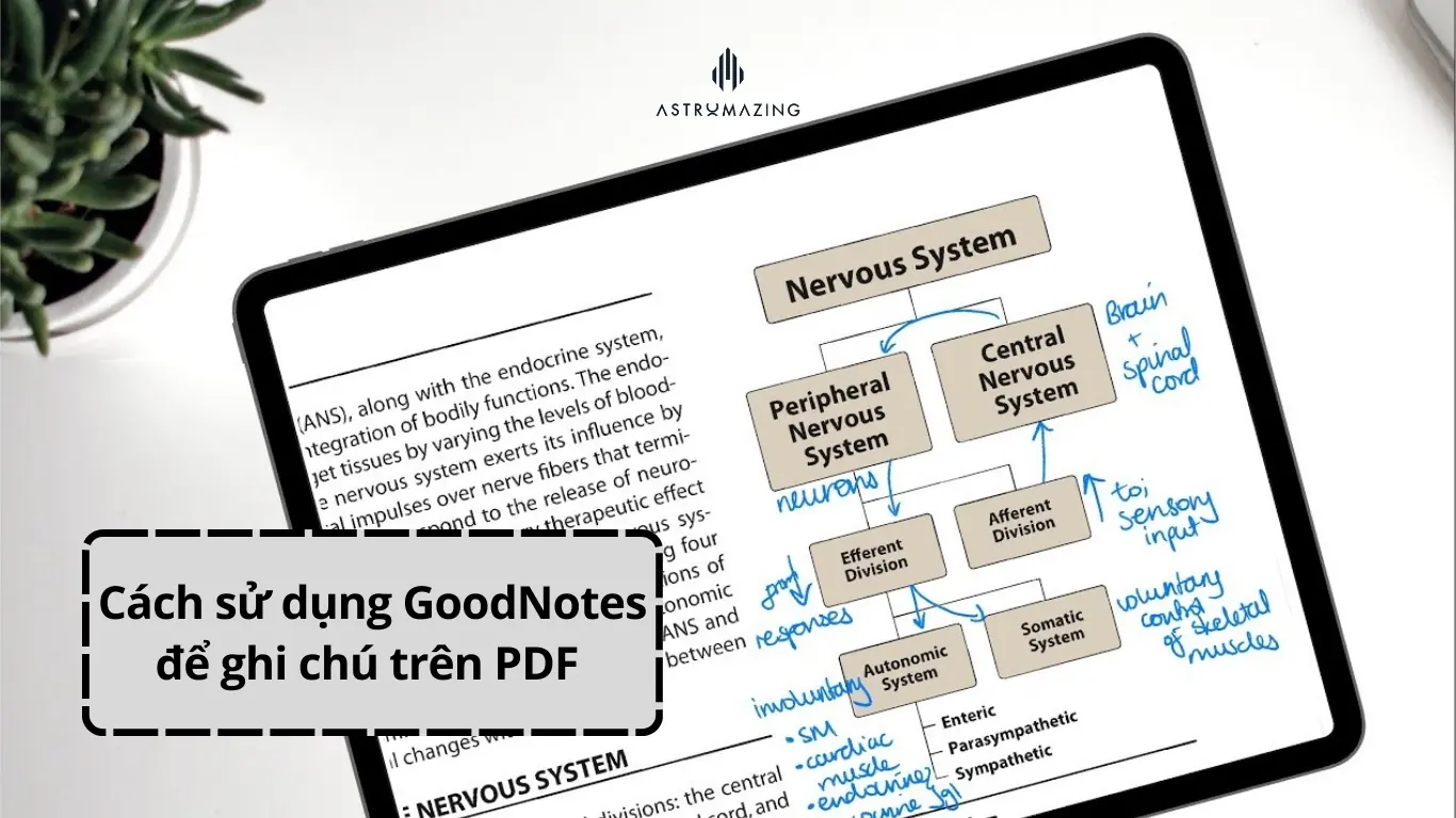 cach-su-dung-goodnotes-ghi-chu-tren-pdf-1